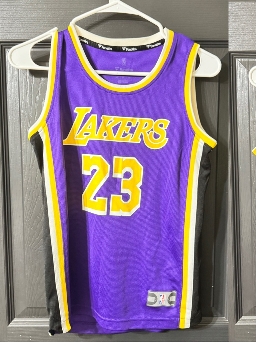 Fanatics Los Angeles Lakers Purple & Gold #23 Jersey